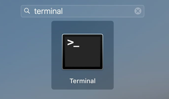 Type 'Terminal' in the search field to open the terminal on macOS